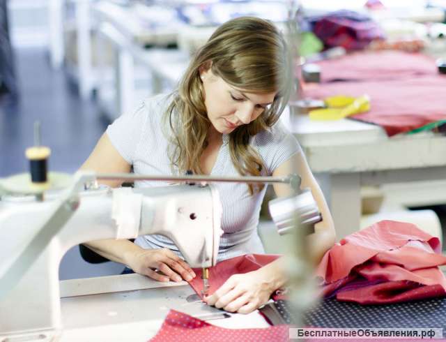 shvei-nadomnitsi-spb